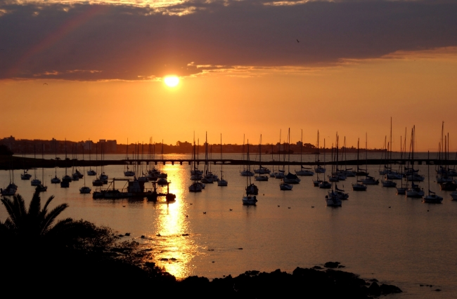 Montevideo & Punta del Este