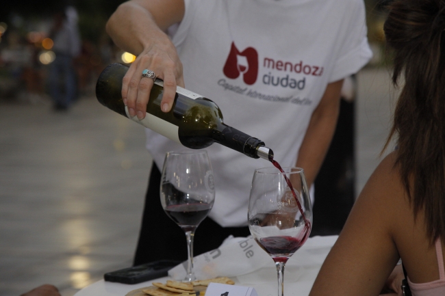 Argentina & Chile Wine Route